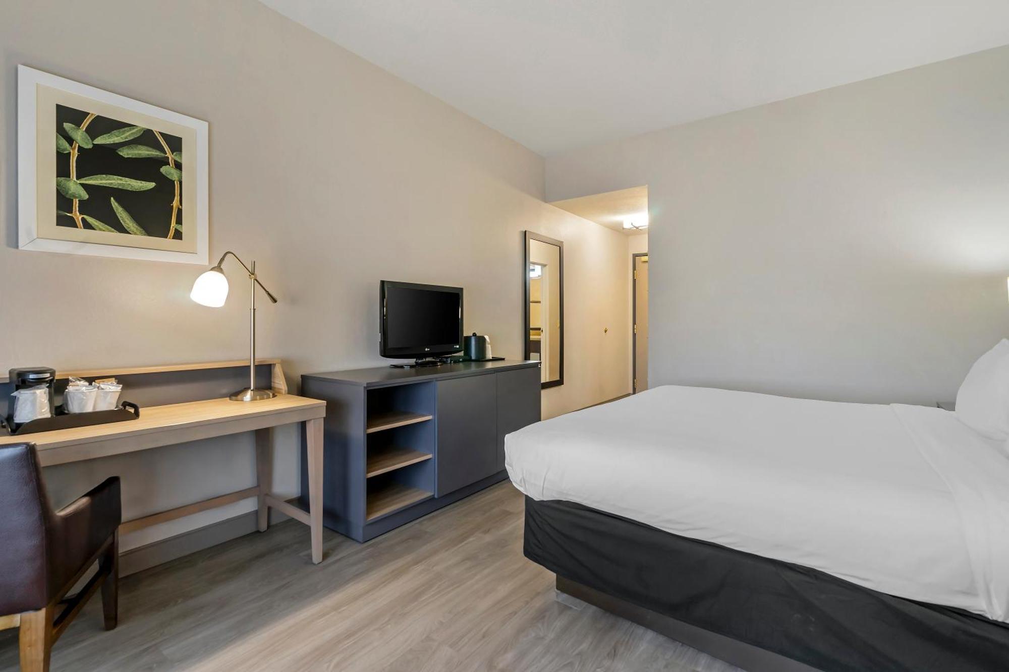 Country Inn & Suites By Radisson, Tampa Airport North, Fl Εξωτερικό φωτογραφία